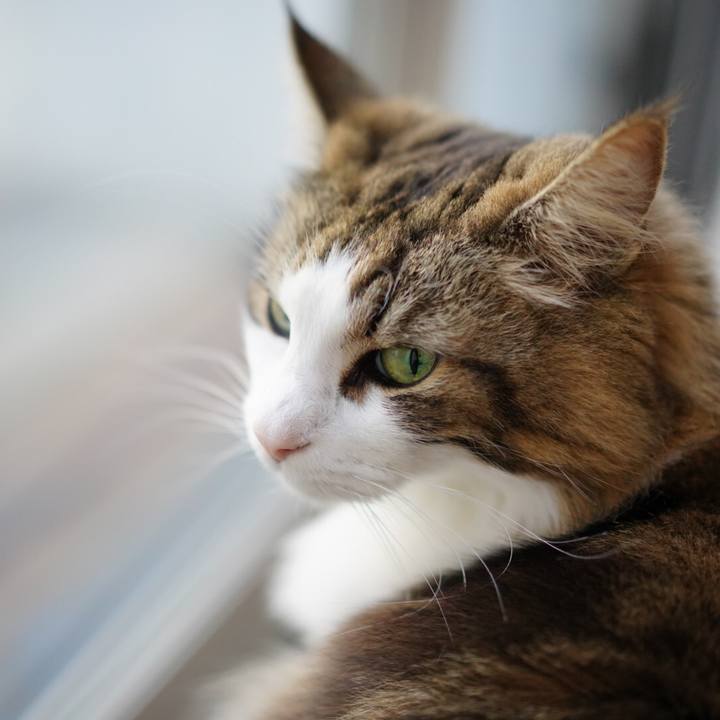 6b08743f 8cfb 4ee8 9621 b20aa9ecba02 1675646418168