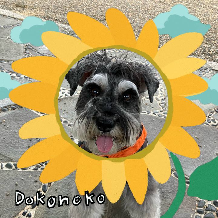 6b087e08 5425 47fc bc37 6083c1ca1b73 1723385508699