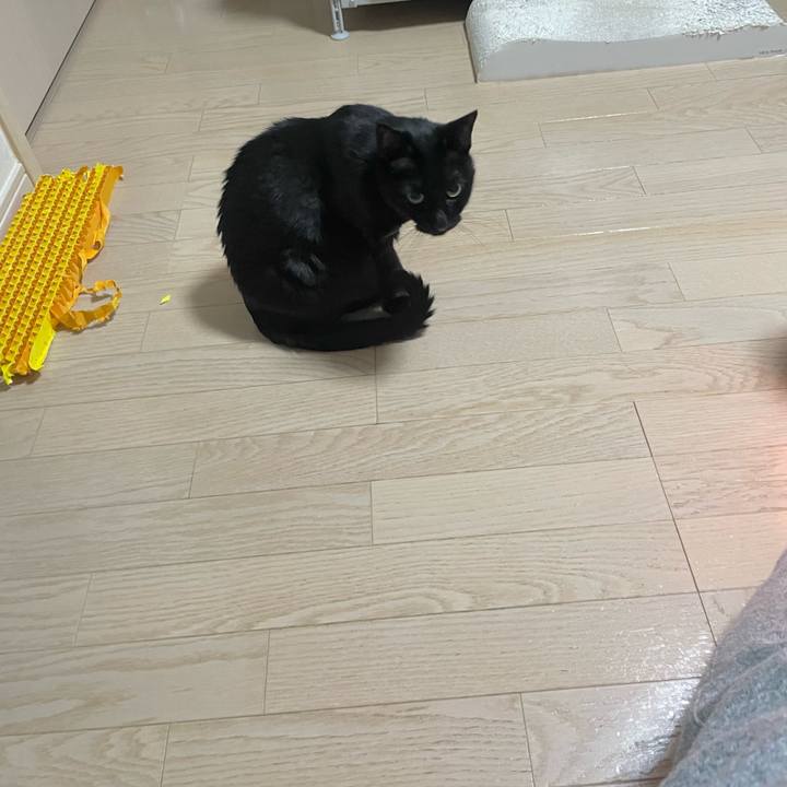 6b0891d1 4d1c 4def b179 e0f84a5da6b1 1737192547110