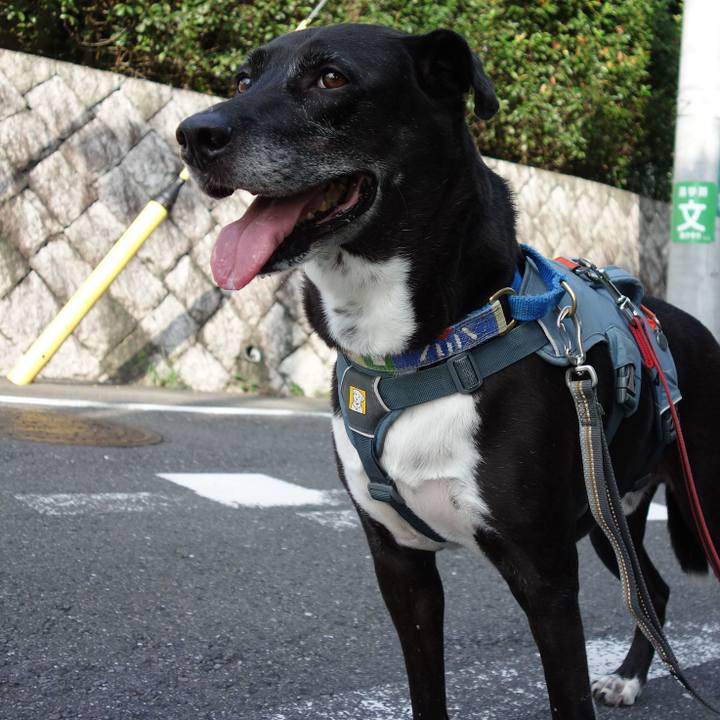 6b08af19 fe6b 440d abee 1d3f08453685 1725408112559