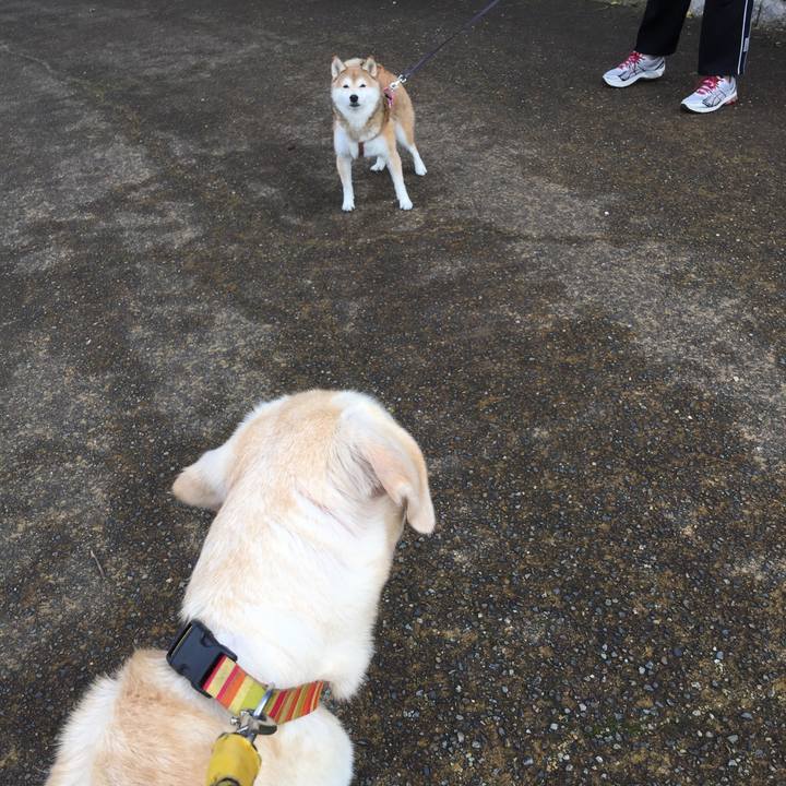 6b08cca8 80e7 4b6b 8375 0314b34662f7 1538895982719