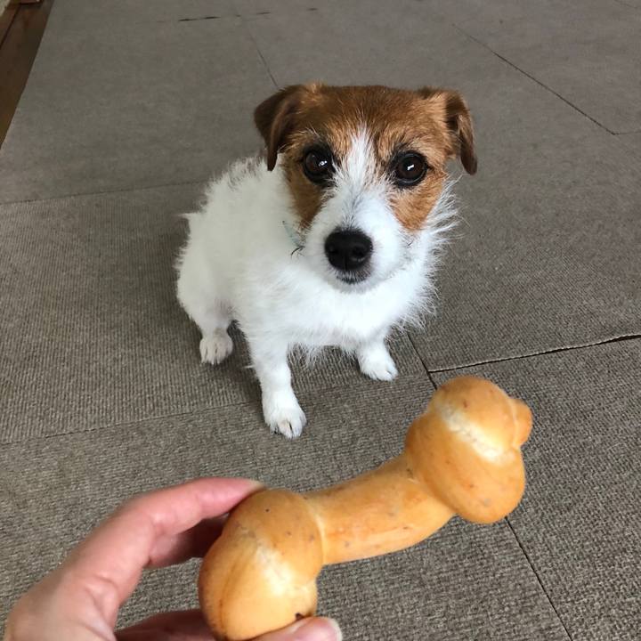 6b08d86d 1c47 4e09 bdb7 e40515401635 1543533256405