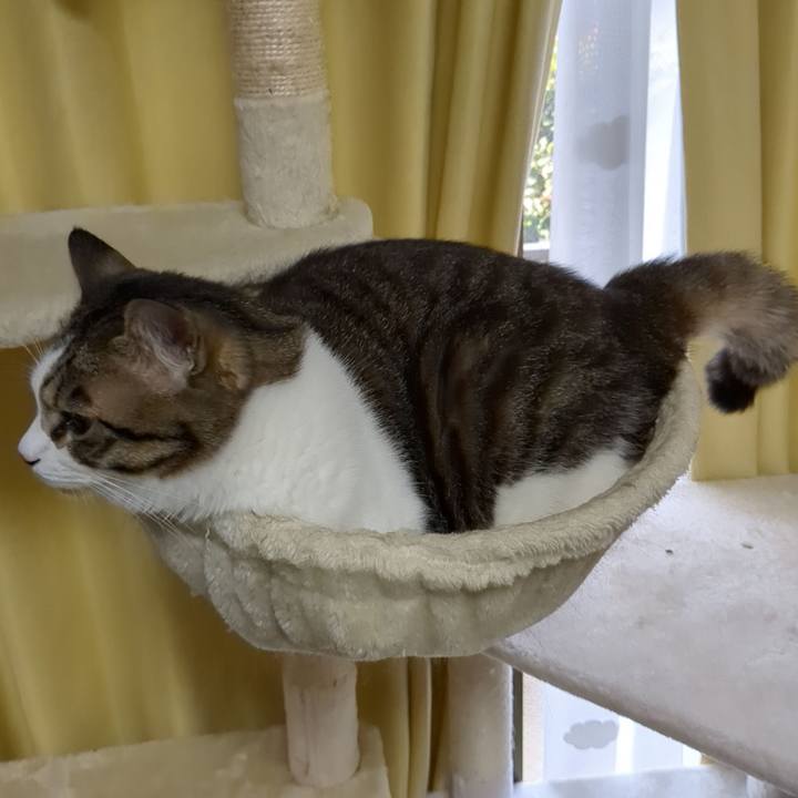 6b090ee7 be0a 4e05 a910 8b3456d46636 1683325370941