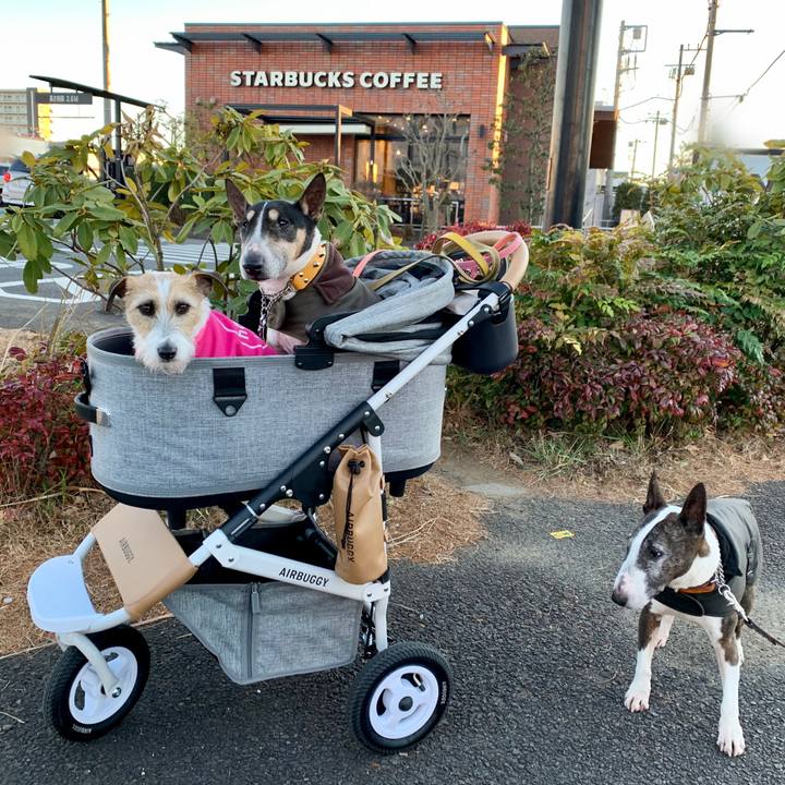 6b09ec70 f4fc 4188 9d5c 743f90baf403 1610276434826