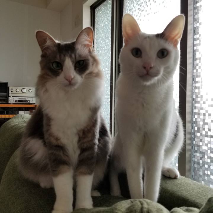 6b09f92d 5c86 47ee a409 01c131ad3a9a 1600816261231