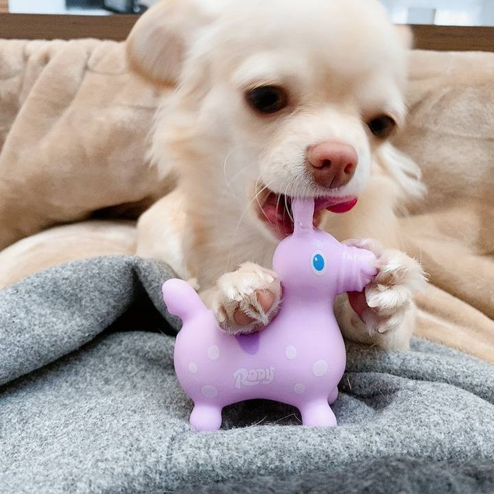 6b0a0763 6648 4e8f 9da4 e883a63be7d1 1611055270693