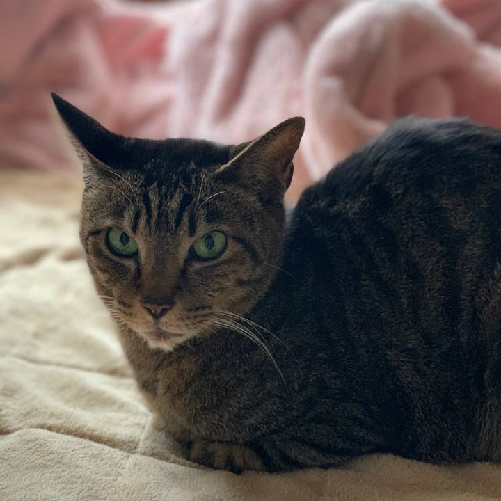 6b0aaccb 7fce 4b42 9efb 432b568e2c7b 1587604725585