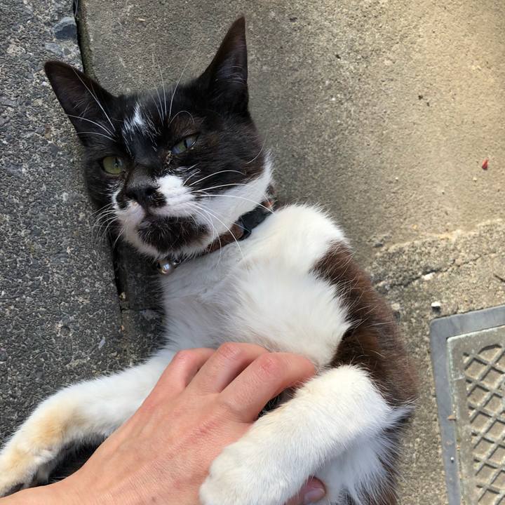 6b0af1dc db12 4cca bc56 1580e0a8766c 1523509751013