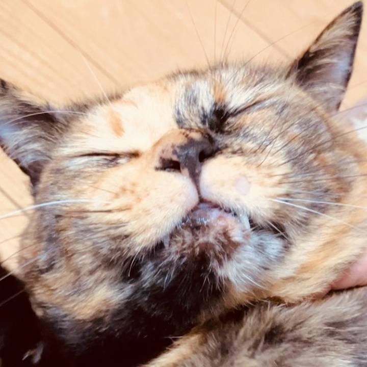 6b0b2e64 f50e 401c a20e 4e0b9f7aacc5 1730830655344