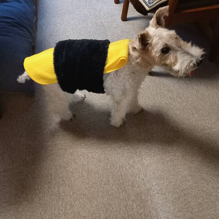 6b0b5b1c db3b 473c 9867 7bc413f580f8 1634993355148