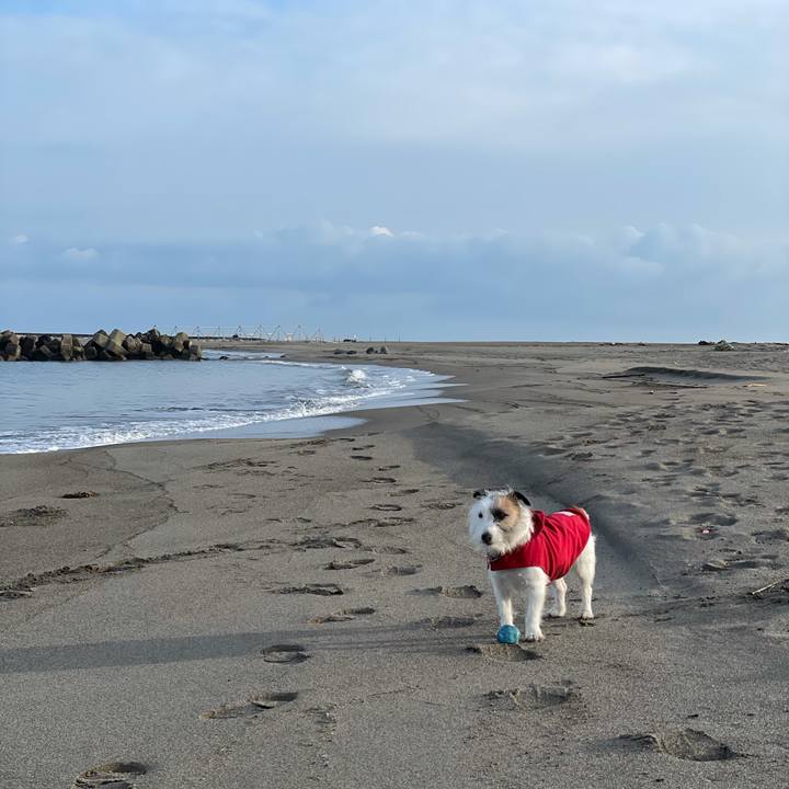 6b0b5da7 1591 49e8 9a9e 24e4d3641896 1615760778009