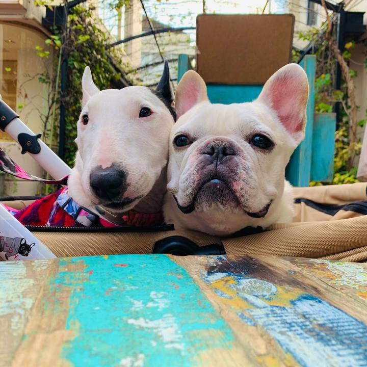 6b0bb375 5fac 4427 9789 6e44d86a267d 1605420452315