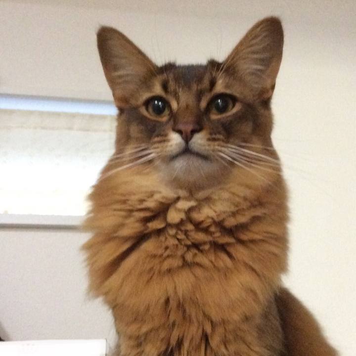 6b0bbb16 38a2 44c6 8b99 e9ce48590fbd 1622767085552