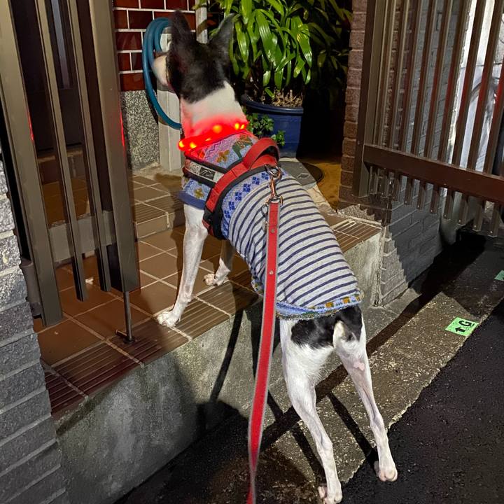 6b0bd1a0 132a 4180 8079 b65f58b21637 1605135710113