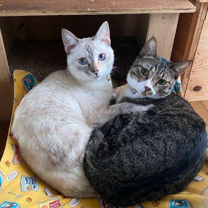 6b0becbe 8f74 43a5 a350 c8c0ccba4096 1662161474958