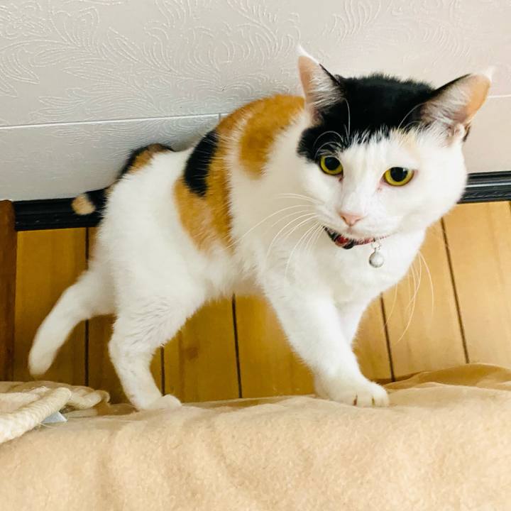 6b0c1873 7bbb 42d2 89bf b874e24fb7da 1667086702516