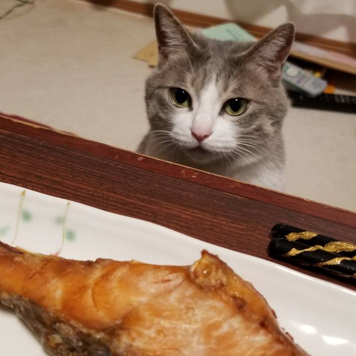 6b0c31a9 c914 4dbc bcb9 7a11bc06c1cc 1509986318885