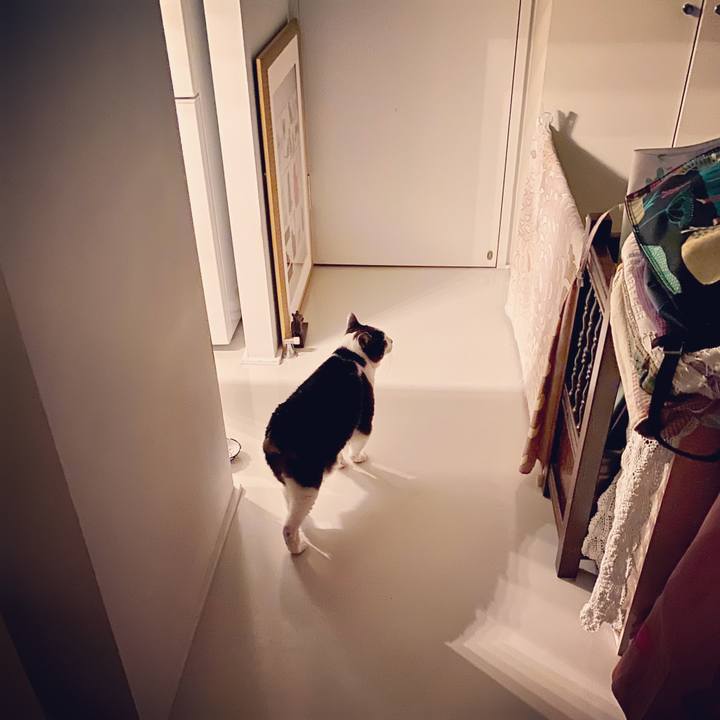 6b0c354f 6044 4ea8 a49b 78fd1d6c9235 1585847917113