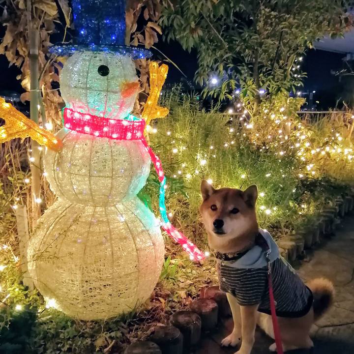 6b0cec5a c085 4a0f be9d 3233118a8331 1607513469136