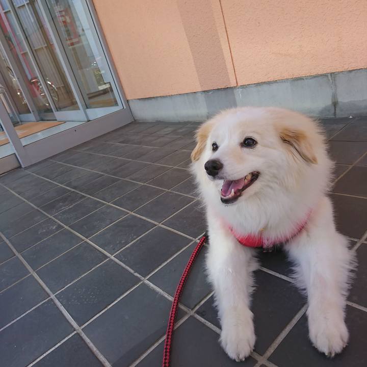 6b0d01af 470b 4f08 b321 69d004bbf491 1528858358043