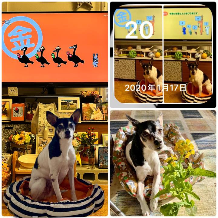 6b0d1da0 0bff 4742 82ef 7aa128b7bd47 1674165710450