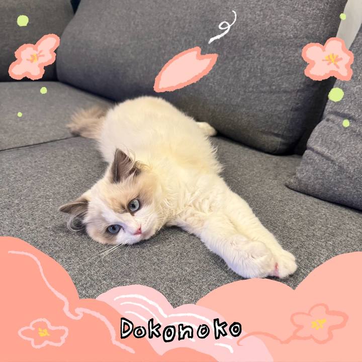 6b0d4d19 6983 439b 9c10 8a8265fd12bd 1775214248586