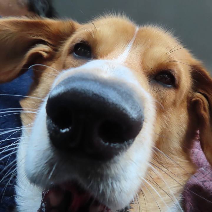 6b0d5366 e091 4b26 925a bdd27e2e2eff 1647694966618