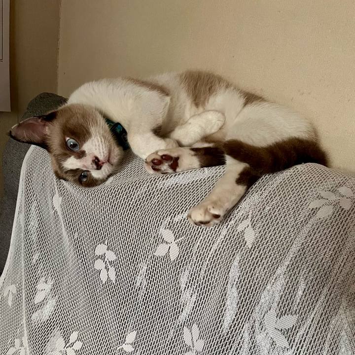 6b0d5c42 4495 4b45 83f9 c4a1d62542ae 1762814823840