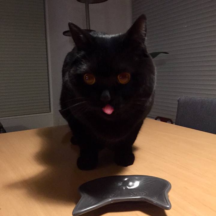 6b0d8841 206c 4a05 b358 173a77cb9138 1581421999204