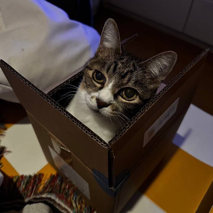 6b0d88d9 c9b8 4a5f 8a2f a1ddf0707e5e 1705232423424