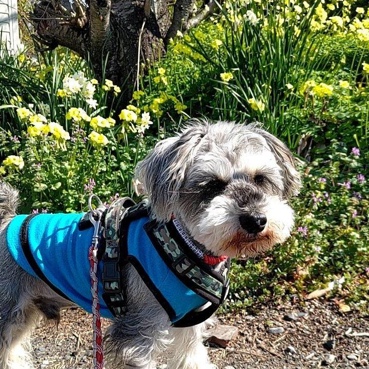 6b0d918b 71f3 4393 8f84 c960a6abd4e2 1708263815946