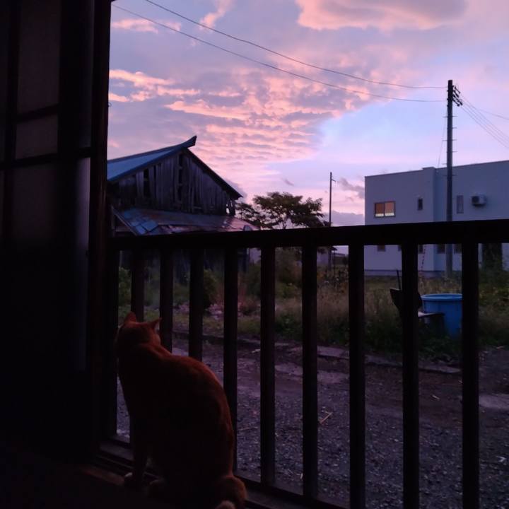 6b0d9674 b519 4679 badf 6035146e8057 1663620388753