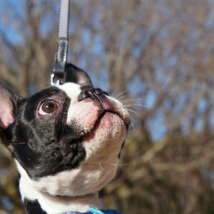 6b0d9f9d 45f2 406c 989d 19969797e83f 1515306527639