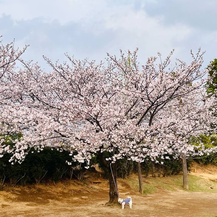 6b0da73a b48c 4bab a41d 21d92e1defb1 1744277461571