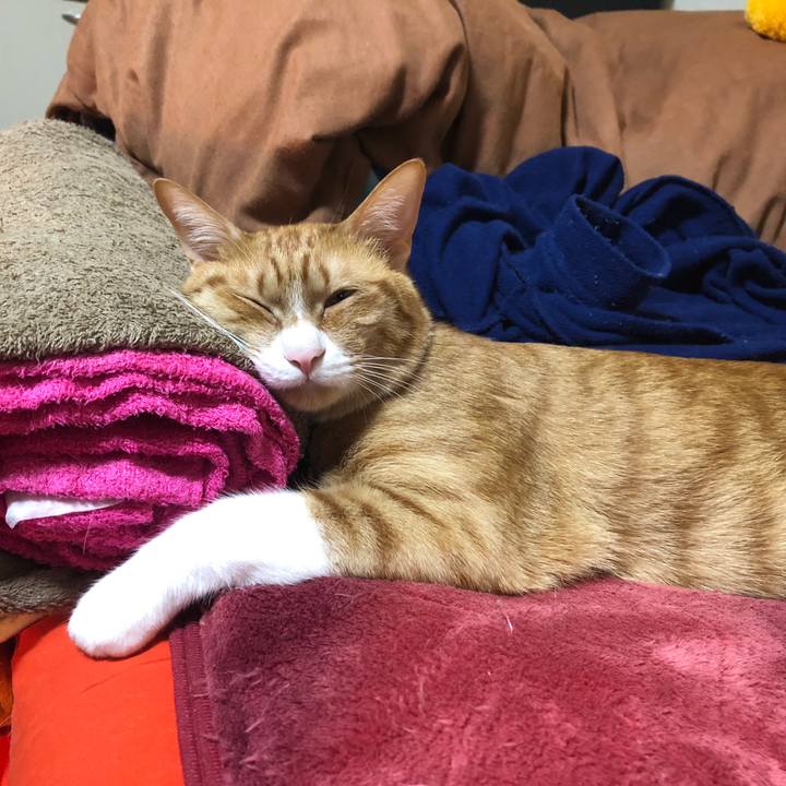 6b0df9f5 4d5e 419c 9e18 99d0ea3c4c08 1575279920445