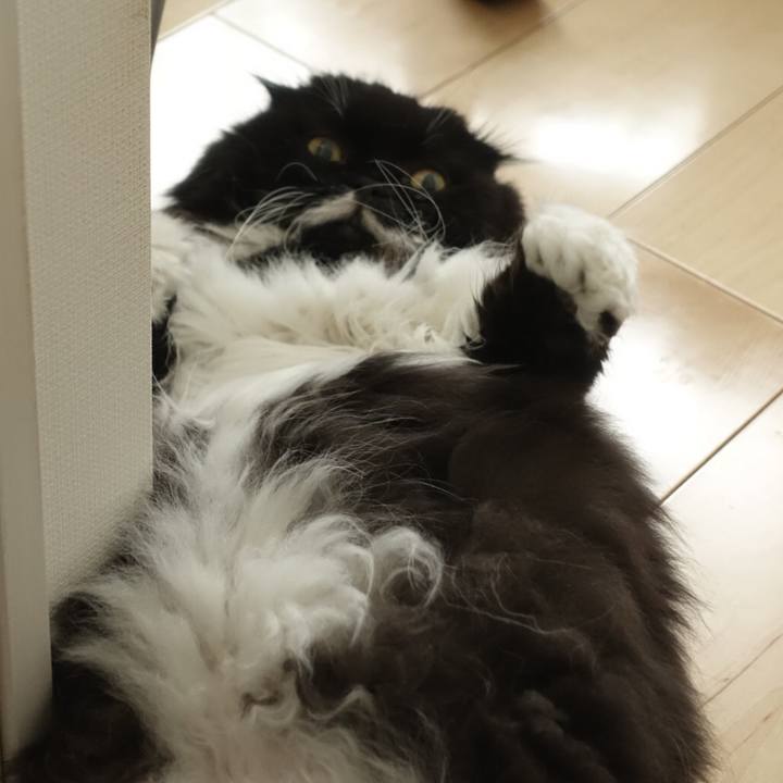 6b0e0e62 4ff5 4119 8e6b 8d91aded4c07 1538399262149