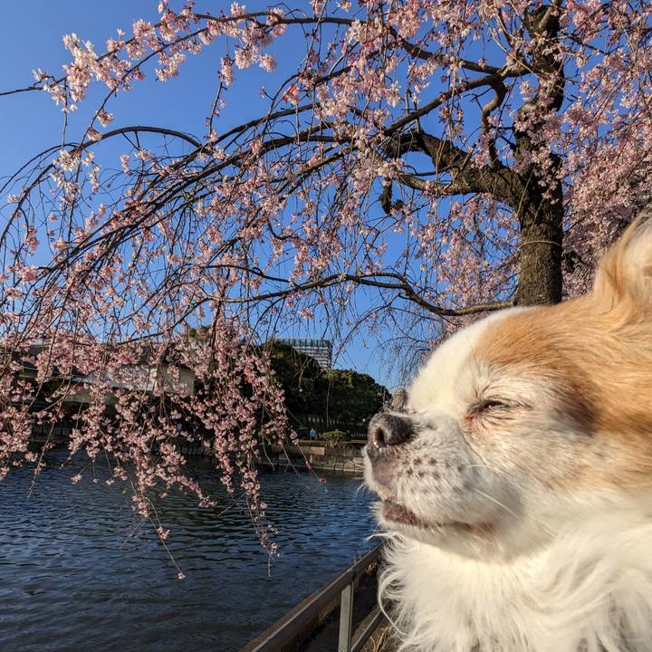 6b0e55a8 a9c2 446c 8223 c9823def3000 1679214693141