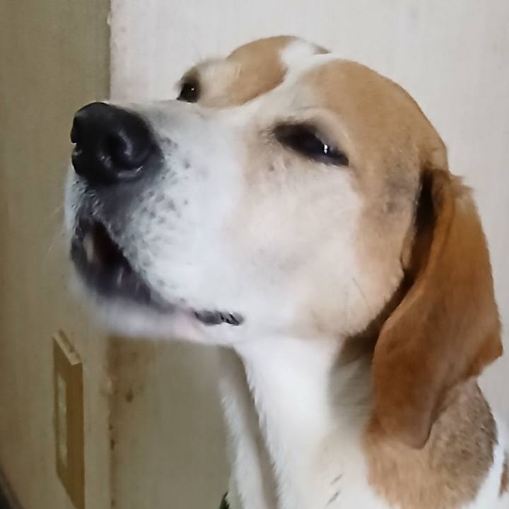 6b0e8903 4c80 441b b015 f0becce85022 1769061944584