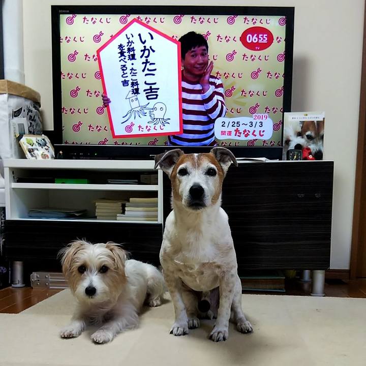 6b0eb9ca d179 4875 9f5a 39414df8be60 1551047124039