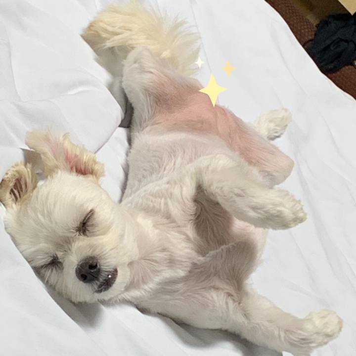 6b0f2270 4170 4b01 99f2 657eed656fd7 1570804545791