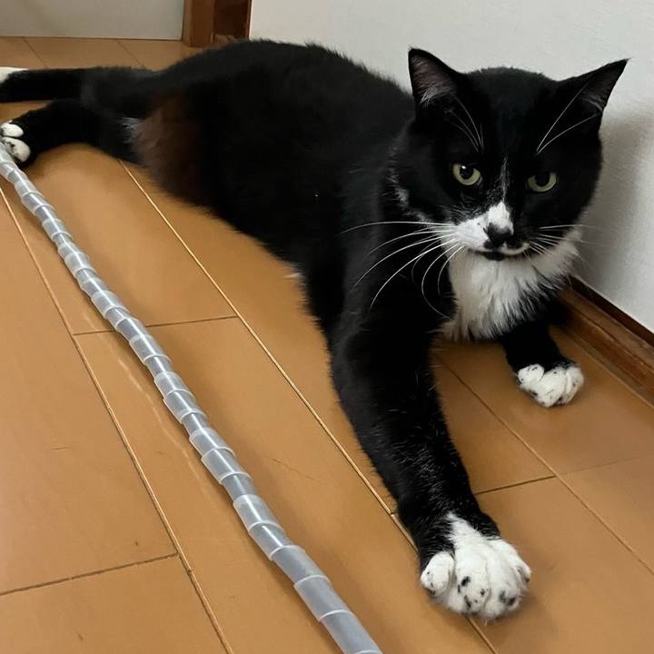 6b0f375d 070c 4d99 b36f e73c82307d9e 1725334663095