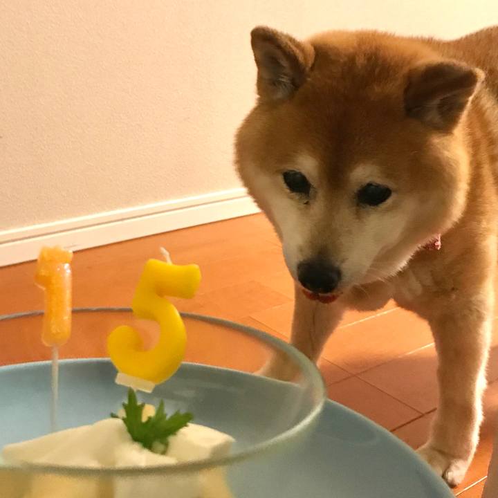 6b0f7121 9870 4293 8289 1862507cd467 1591115313908