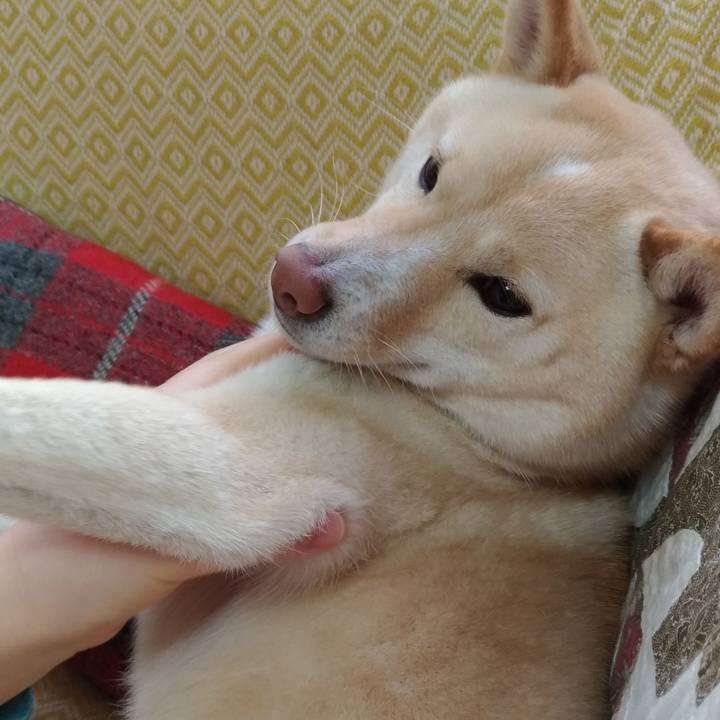 6b0f8c65 3d24 429b a994 a04d30e2ee1d 1550365880311