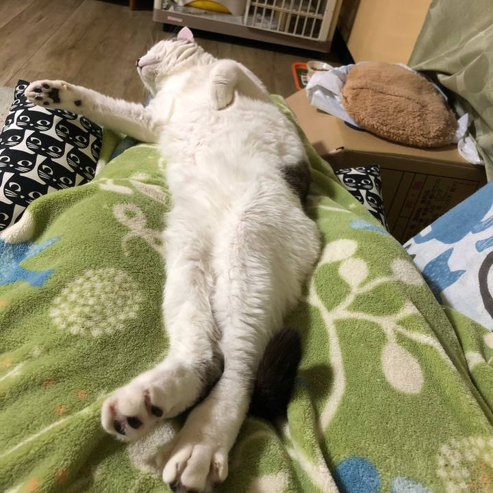 6b0fa240 8393 44c7 bd1d 7df2209563a0 1616163993700