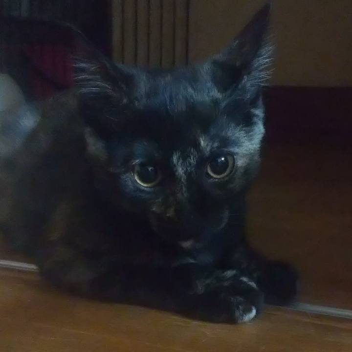 6b0fe241 16cb 49cd b368 2464bcf4a5e1 1725719971909