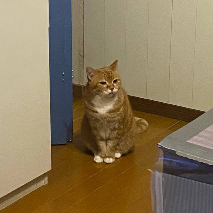 6b1001bb 16d9 47a9 b061 caaa7359941f 1646409015950