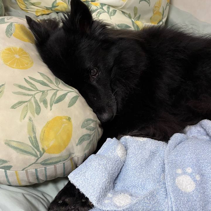 6b10a167 6deb 4531 90a0 5a83d847f8ba 1761004172340