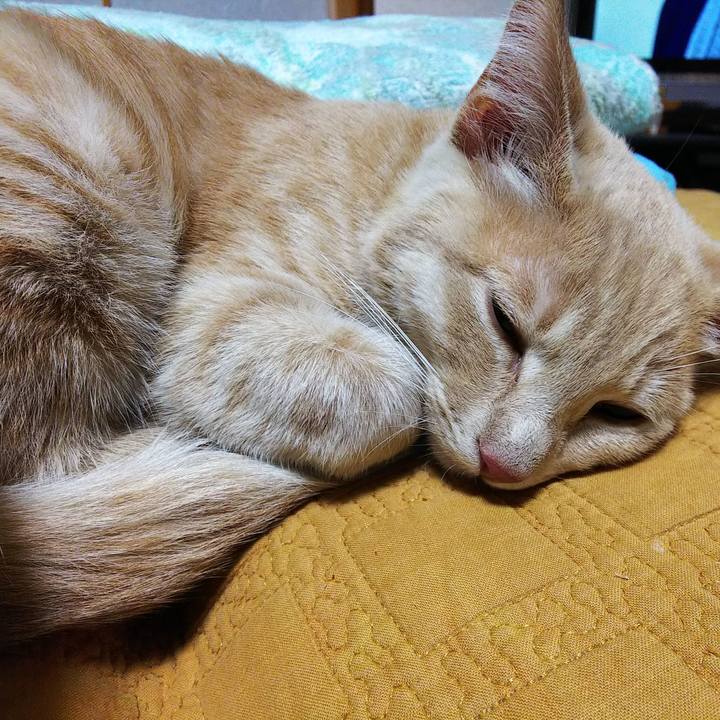 6b10bd12 e2d4 40a0 9200 06d24a7f80be 1543406731043