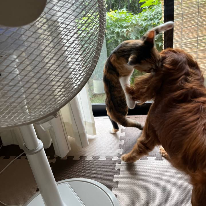 6b10d946 efe4 4eab 9f8d 3f7486514fe4 1658325224477