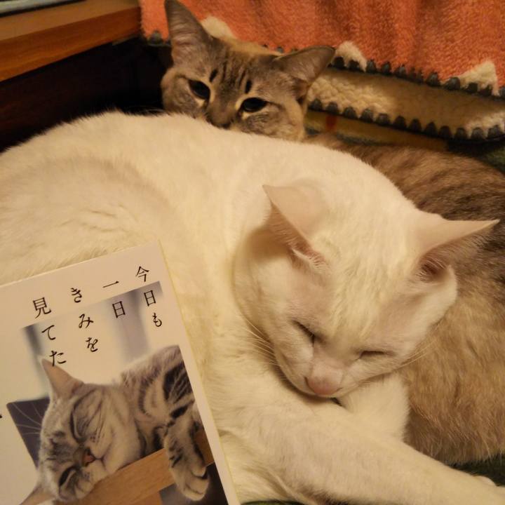 6b10dc89 b18d 4b0f 9ca8 6bc96ab2e4ab 1550841949538